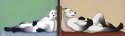 1234933134.whyteyote_finalboth.jpg