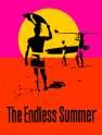 endlessummer_poster.gif