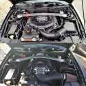 thestang5.jpg