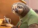 sloth.jpg
