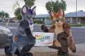 Furries_for_bernie.png