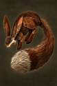 bunnyfox.jpg