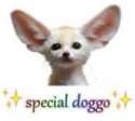 SPEDOGOOG.png