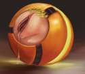 1404714 - Metroid Samus_Aran rosebutt.jpg