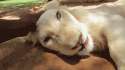 1452544365061.gif