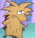 Norbert2450.png