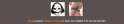 16.png