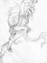 1413943178.puniceus-rose_scan-141021-0002.jpg