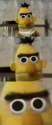 bert.jpg