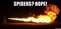 Nope.jpg