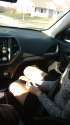IMG_20160322_165658263[1].jpg
