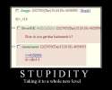 Internet_Stupidity2.jpg
