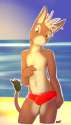 24099_ChokoDonkey_choko_by_zombiebunnyboy_3.jpg