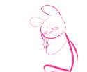 pinis.png