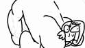 nool.jpg