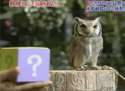 1283074778001.gif