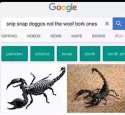 1460840216561.jpg