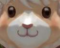 Screenshot_427.png