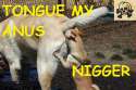 Tonnus.jpg