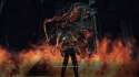 DarkSoulsII 2015-06-27 21-09-40-07.jpg