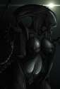 IMG-20160410-WA0008.jpg