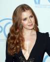 amy-adams2.jpg