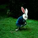 1460405602637.gif