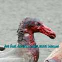 PhotoGrid_1460319112116.jpg