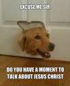 jehovas_woofnesses.jpg