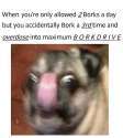 bork.jpg