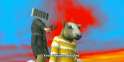 681684684.gif