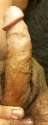 dickpic2.jpg