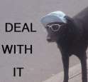 deal with it.jpg