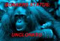 received_10206615889497512.jpg