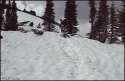 1461588513315.gif