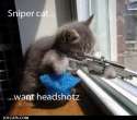 lolcatsdotcompfwrw4ckzhx91wev.jpg
