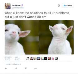 tumblr_o2urlbeYVy1se3pgko1_1280.png