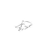 sergal.png