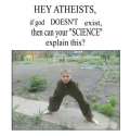 FB_IMG_1459507846880.jpg