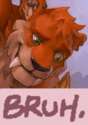 ssssssssss.png