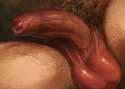 anatomia.png