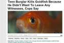 golden-fish-witness.jpg
