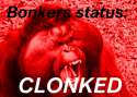 bonkersstatus.jpg