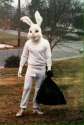 easterbunny.jpg