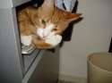 DSC00902.jpg