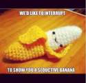 funny-984.jpg
