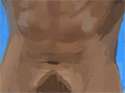 mh3ayhr7041rnuf8vo1_250.gif