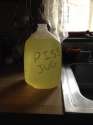 piss jug.jpg