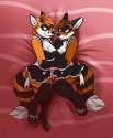 1450296416.muzz_cooncommission.jpg