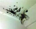spider-hell.jpg